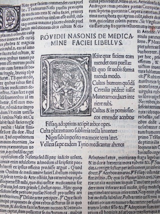 Amorum libri tres. De medicamine faciei libellus et nux. Infinitis pene erroribus e manuscriptis exemplaribus emaculati. Una cum Dominici Marii Nigri Veneti luculentissimis enarrationibus.
