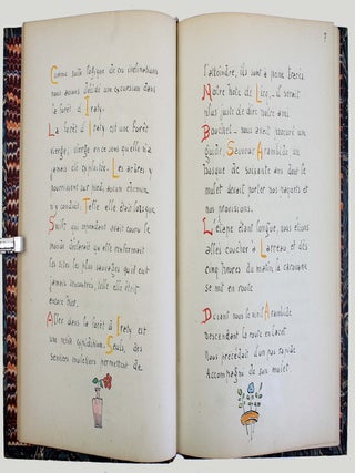 Voyage dans la forêt d'Iraty.