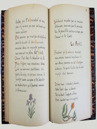 Voyage dans la forêt d'Iraty.