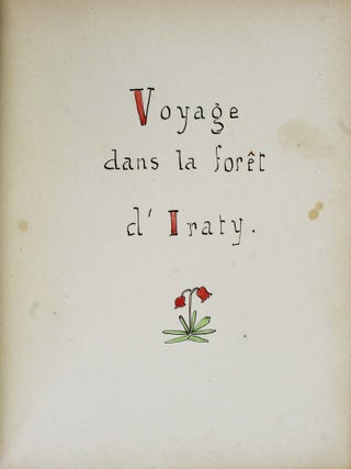 Voyage dans la forêt d'Iraty.