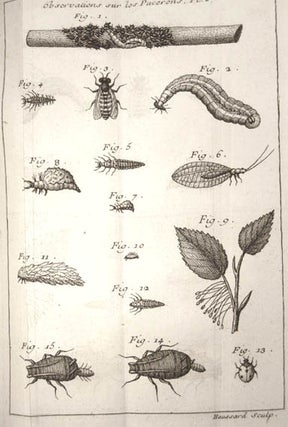 Traité d'insectologie ou observations sur les pucerons.