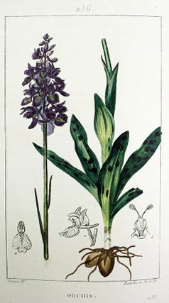 Item #8125 Flore médicale décrite par MM. Chaumeton, Poiret, Chamberet, peinte par Mme E....