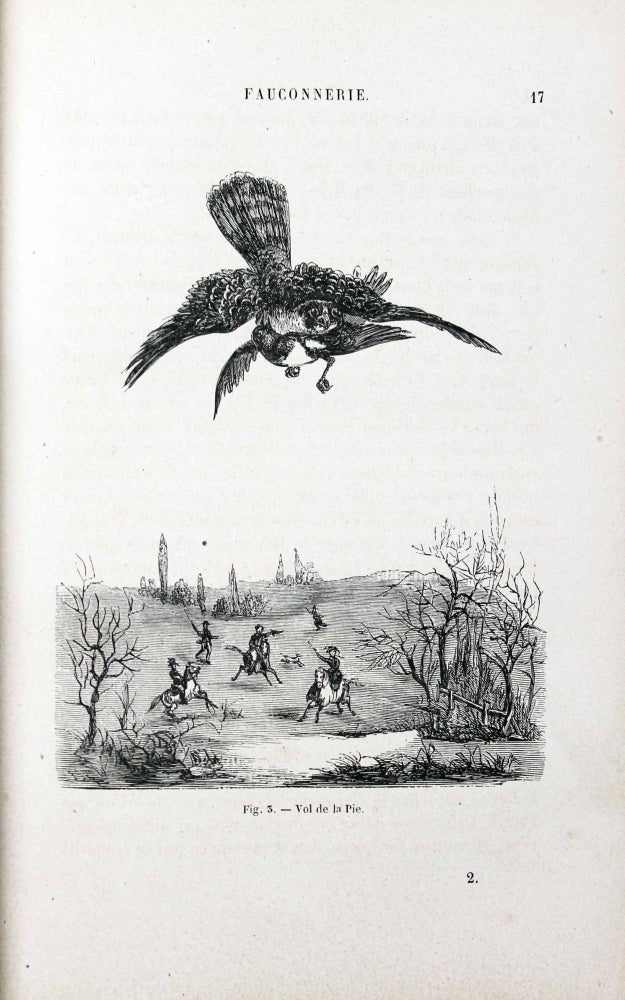 Item #9071 La Fauconnerie ancienne et moderne. Supplément au tome deuxième des leçons élémentaires sur l'histoire naturelle des oiseaux. J. C. CHENU, O., DES MURS.